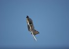 PL-phancon 2012 254